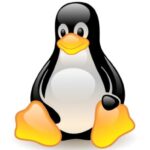 linux-penguin-100055693-large